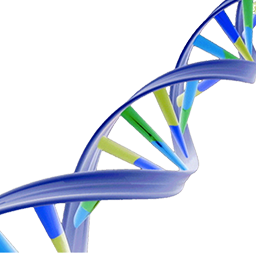 Dna